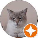 Karine Daf profile picture